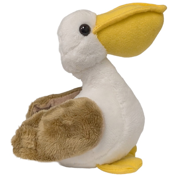 Swoops the Canned Pelican