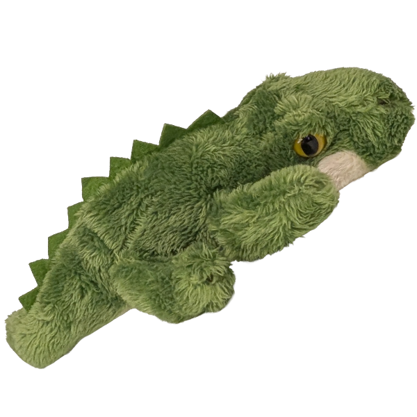 Rex the Canned Alligator